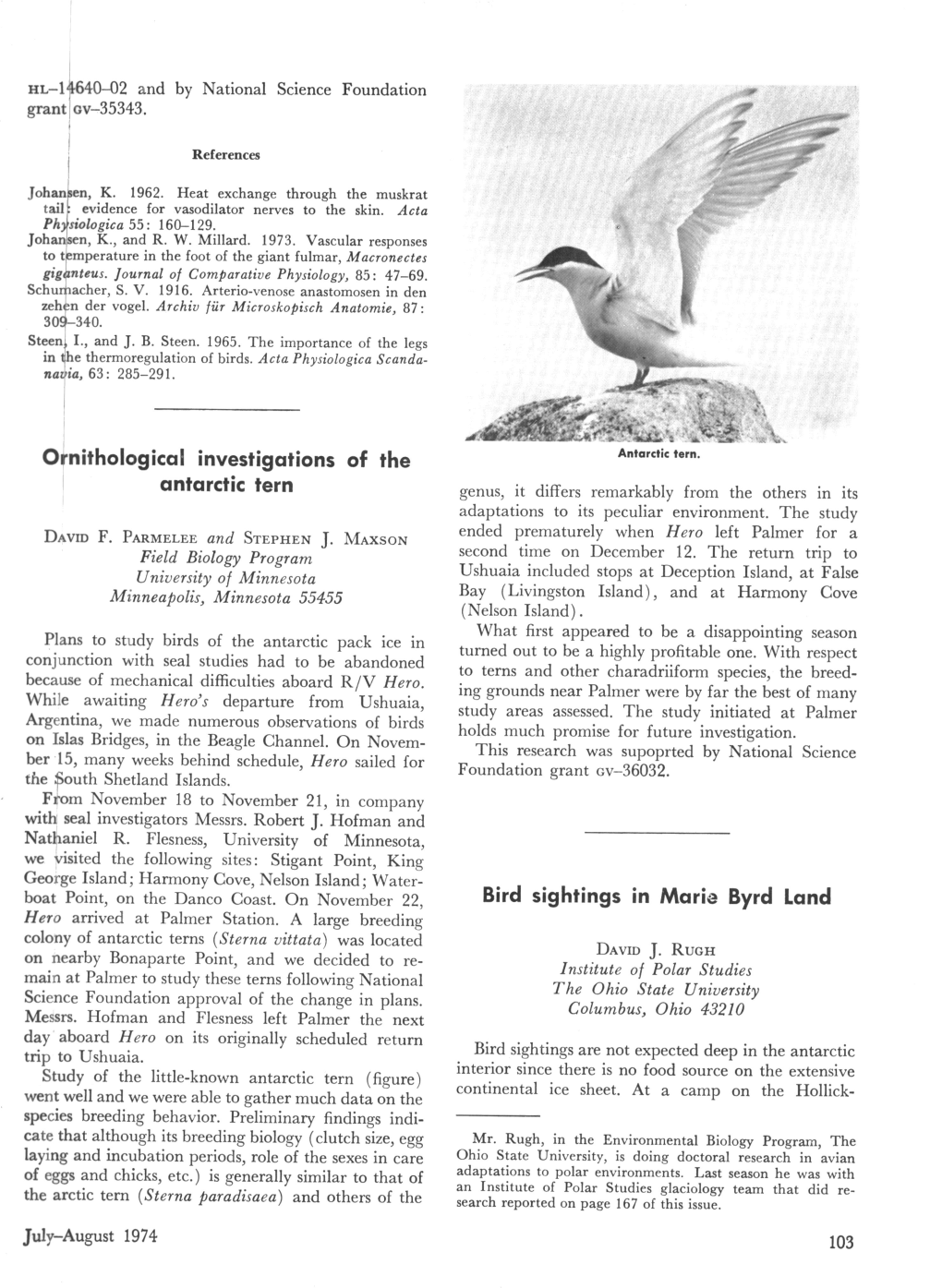 Ornithological Investigations of the Antarctic Tern Bird Sightings in Marie