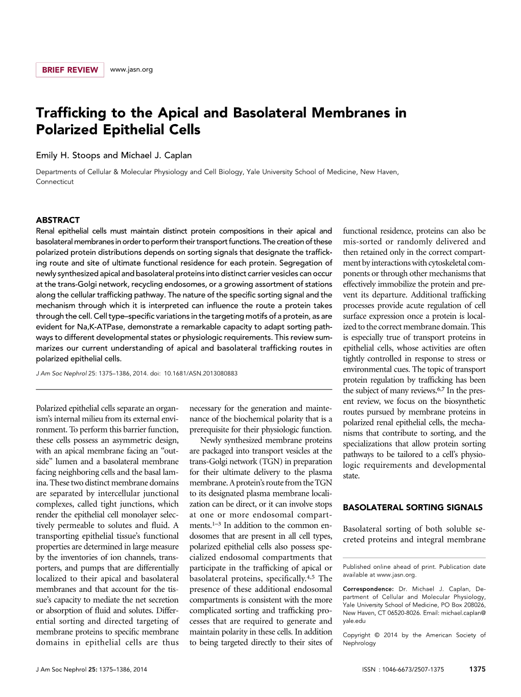 Trafficking to the Apical and Basolateral Membranes In