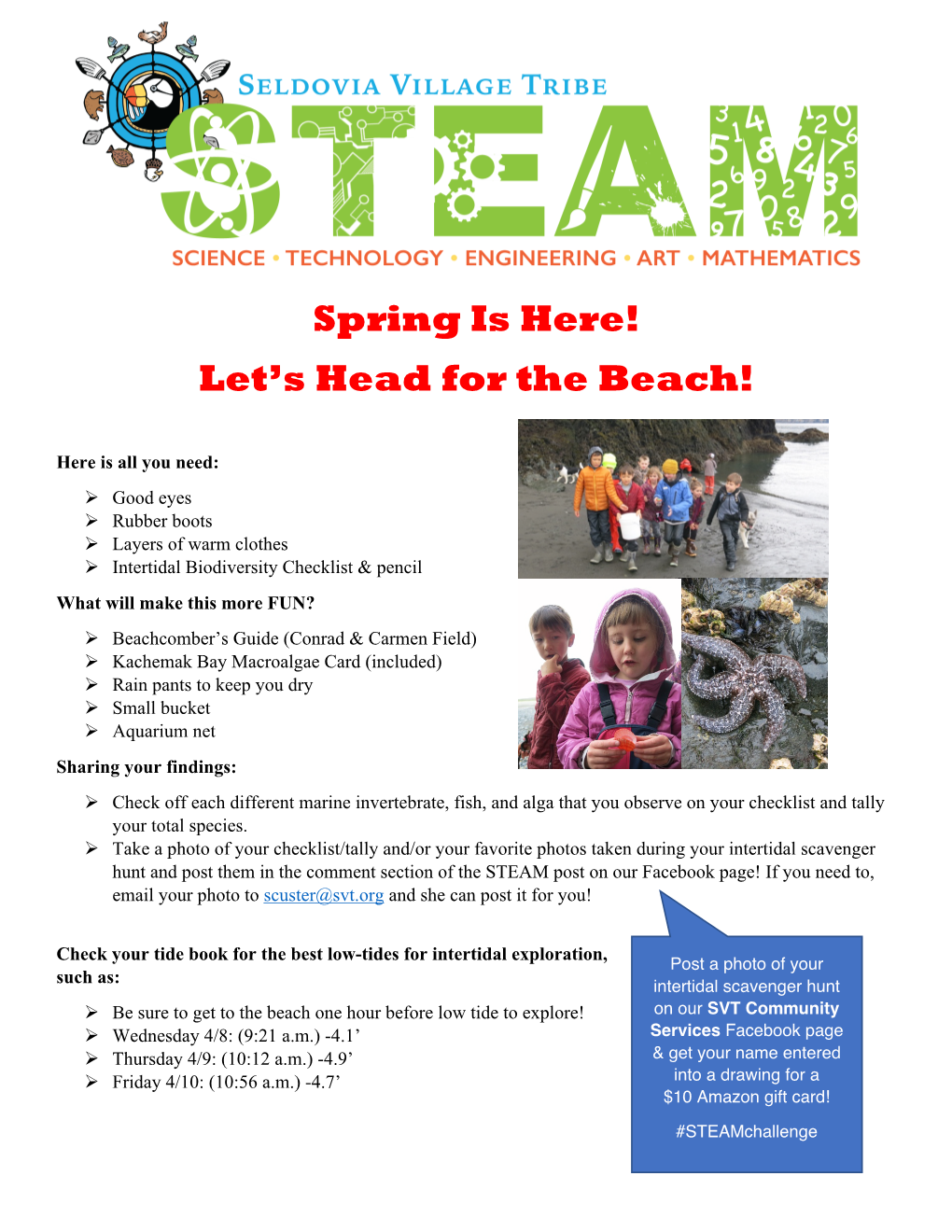 To Download the Intertidal Scavenger Hunt!