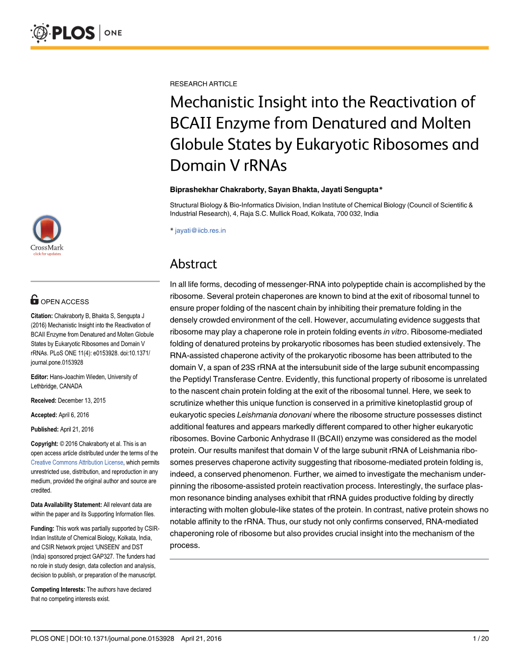 Mechanistic Insight Into the Reactivation of BCAII Enzyme from Denatured and Molten Globule States by Eukaryotic Ribosomes and Domain V Rrnas