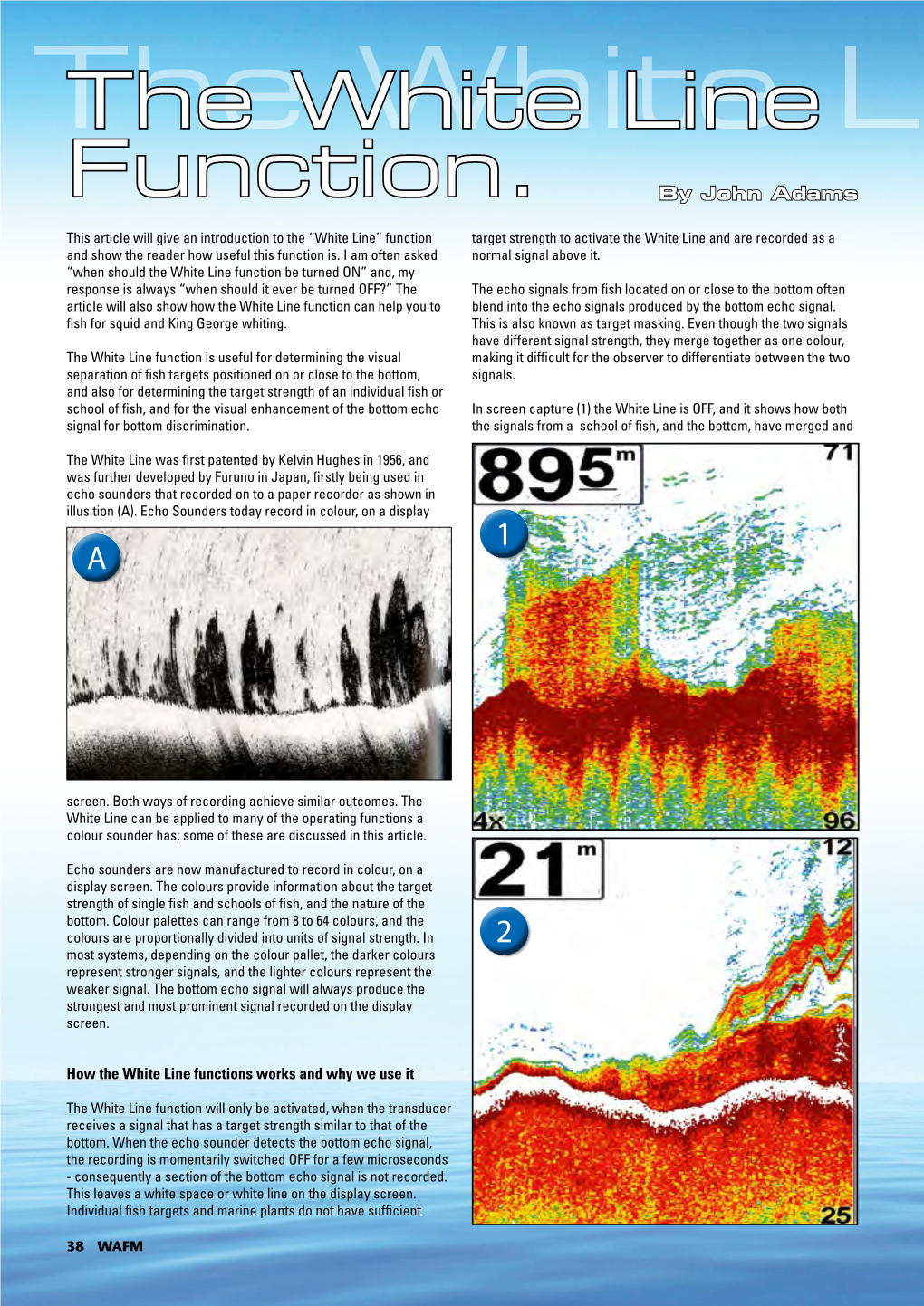 The White Line Function. Blended Together As One Signal