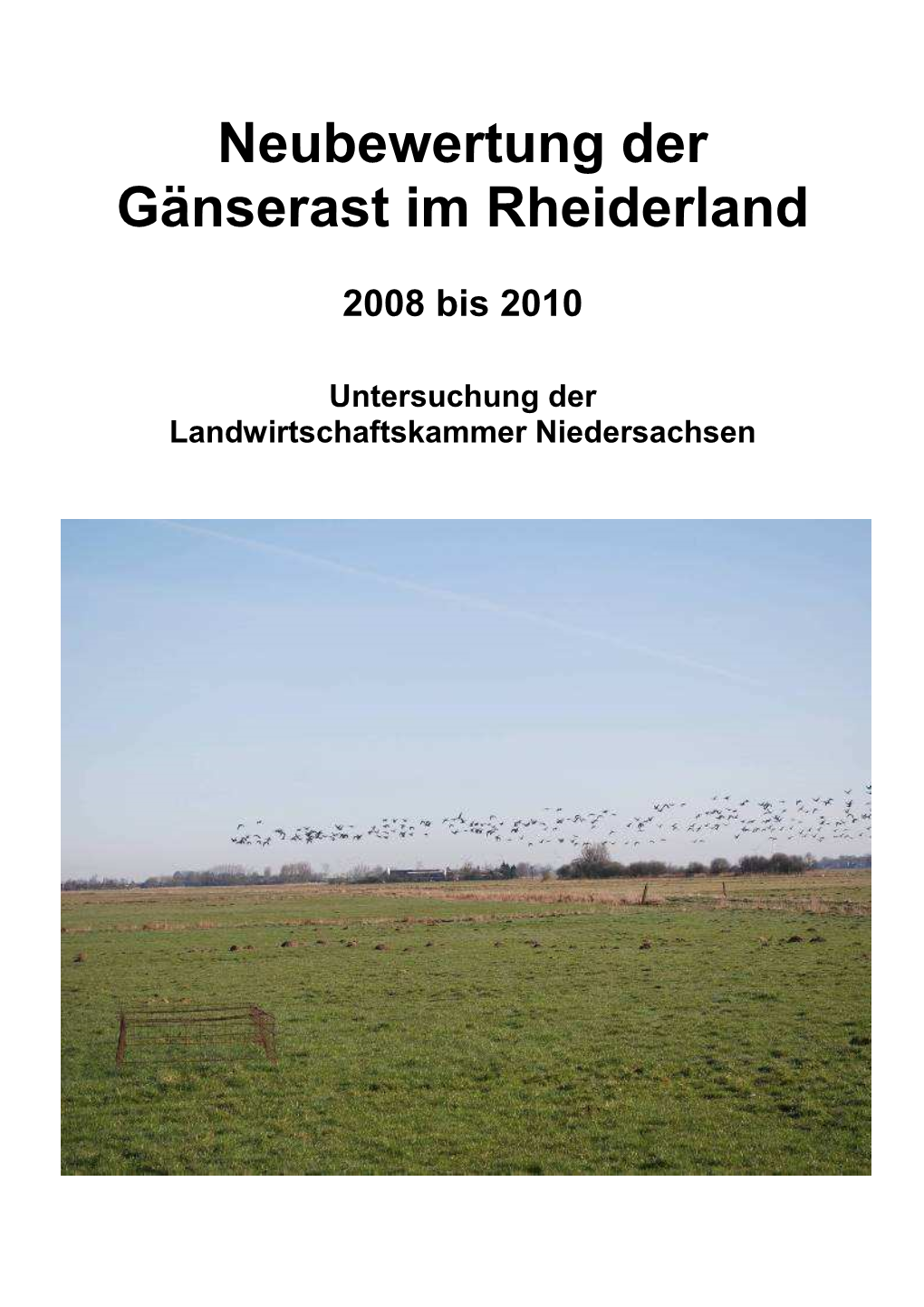 Neubewertung Der Gänserast Im Rheiderland