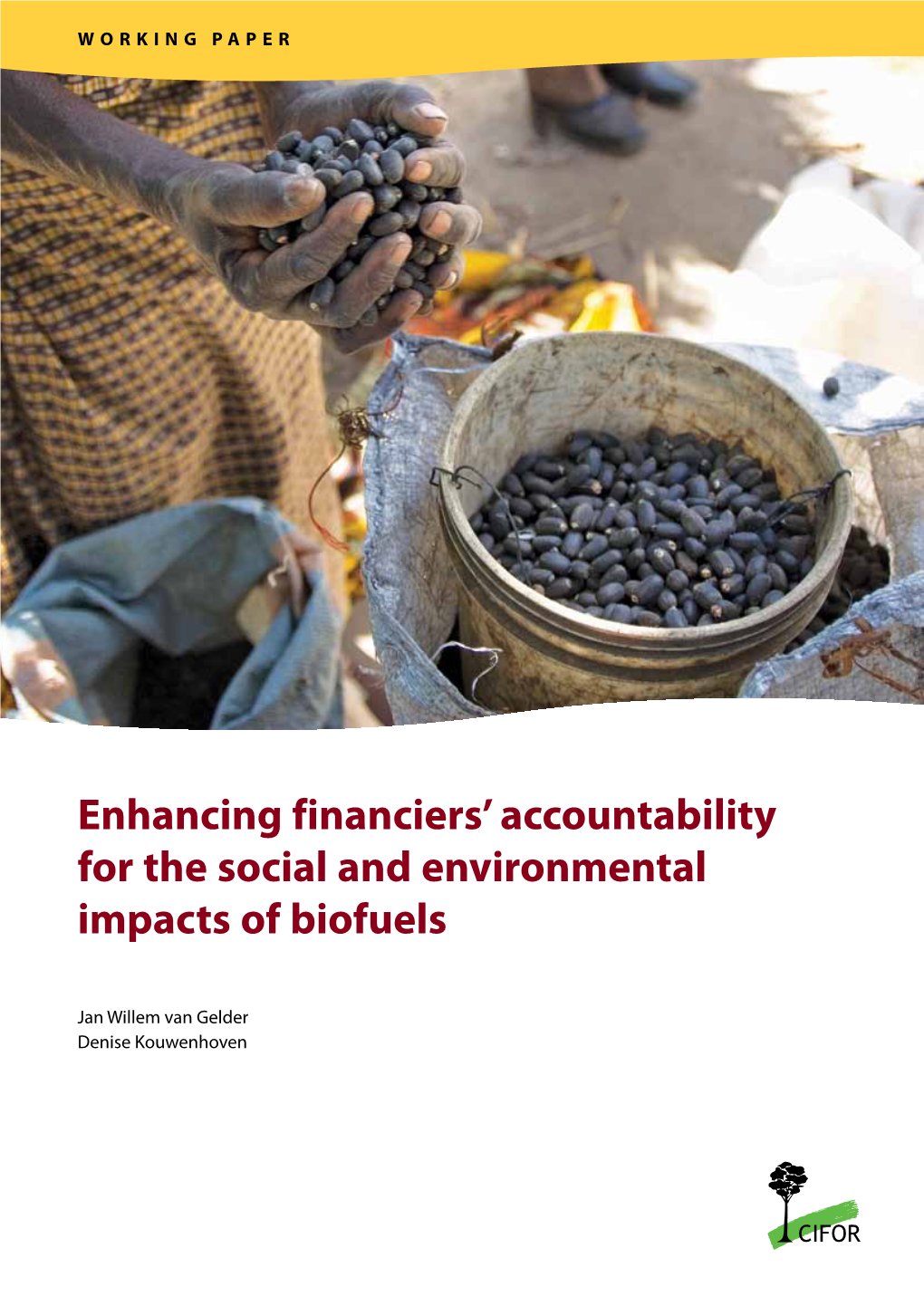 Enhancing Financiers' Accountability for the Social and Environmental