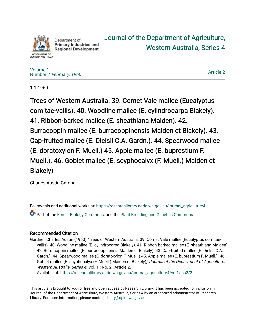 Trees of Western Australia. 39. Comet Vale Mallee (Eucalyptus Comitae-Vallis)