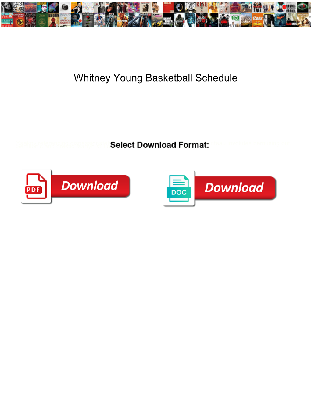 Whitney Young Basketball Schedule