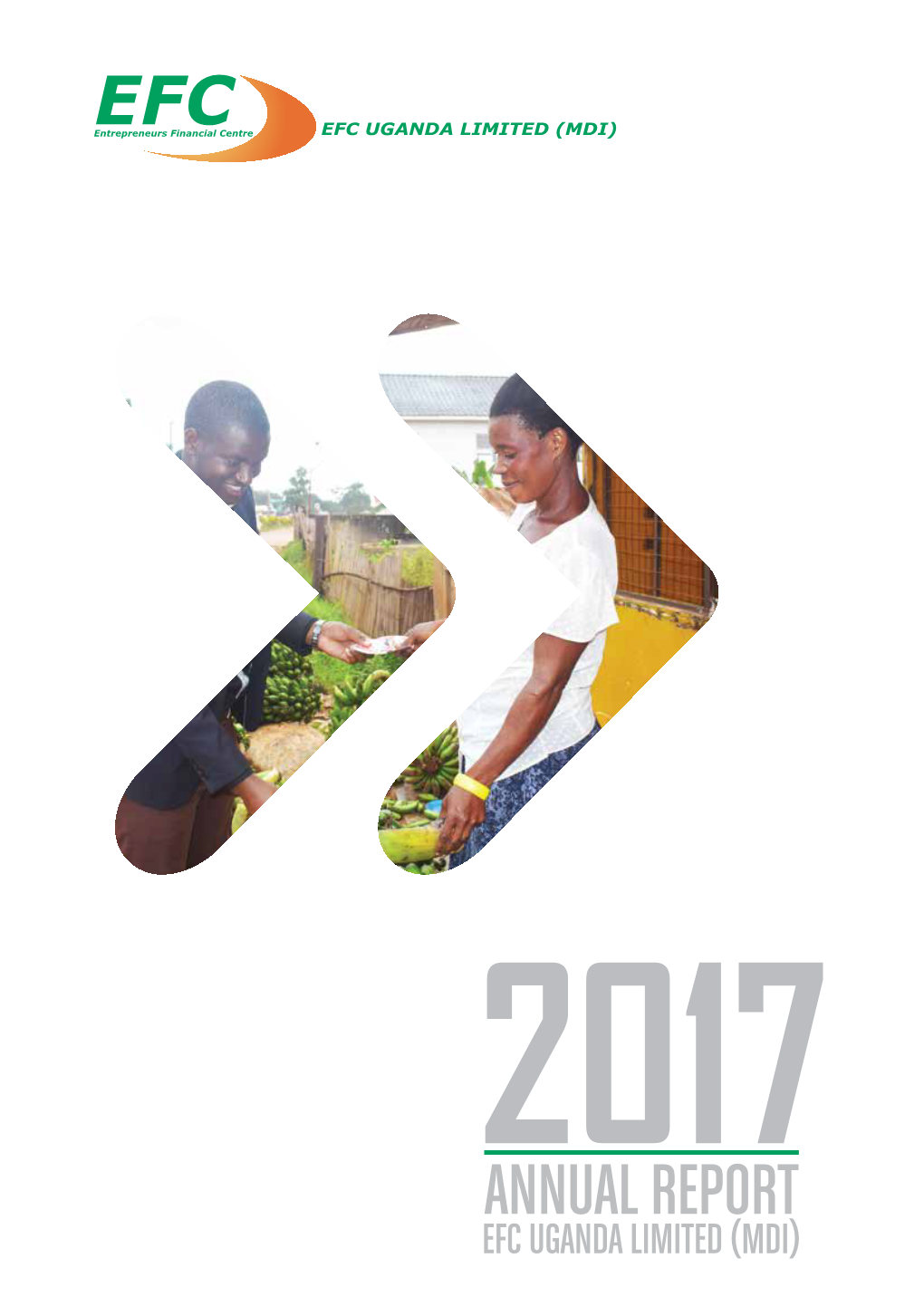 2017 Annual Report