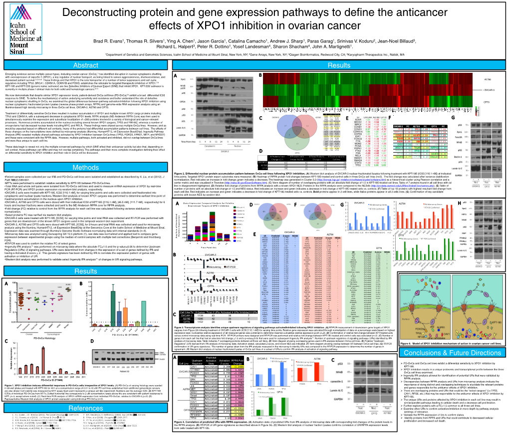 Deconstructing Protein and Gene Expression Pathways to Define the Anticancer Effects of XPO1 Inhibition in Ovarian Cancer