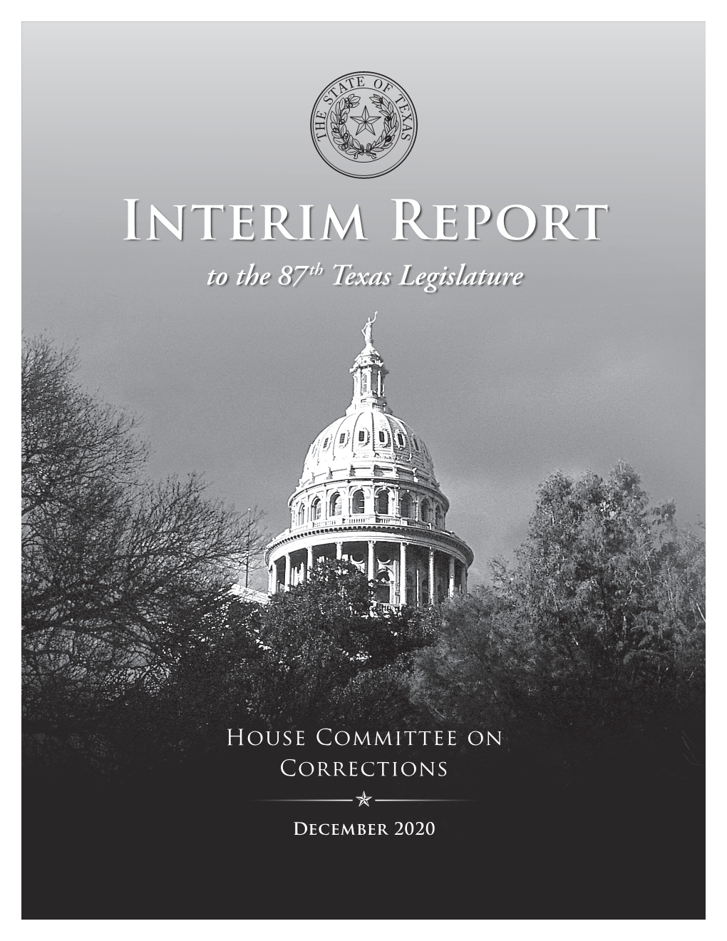 Interim Report to the 87 Th Texas Legislature