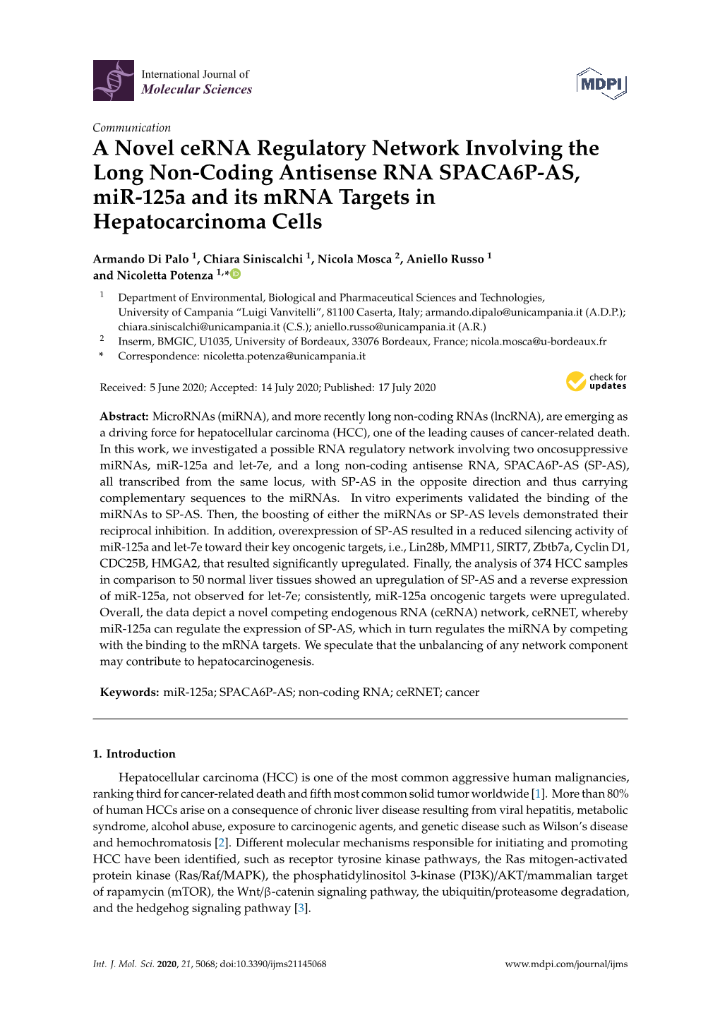 A Novel Cerna Regulatory Network Involving the Long Non-Coding Antisense RNA SPACA6P-AS, Mir-125A and Its Mrna Targets in Hepatocarcinoma Cells