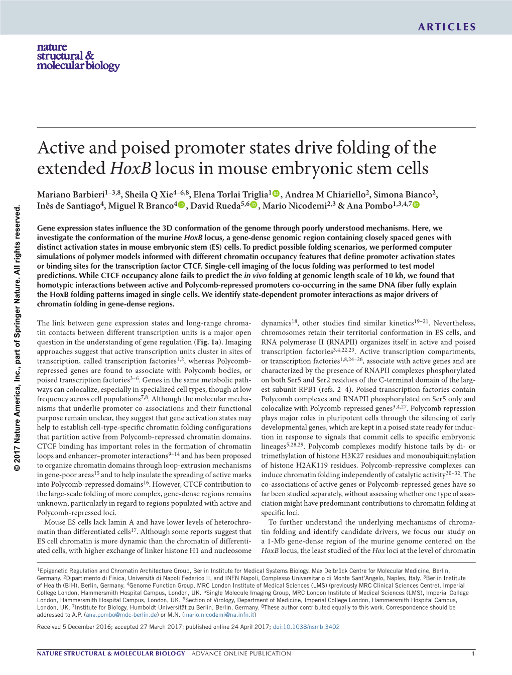 Active and Poised Promoter States Drive Folding of the Extended Hoxb