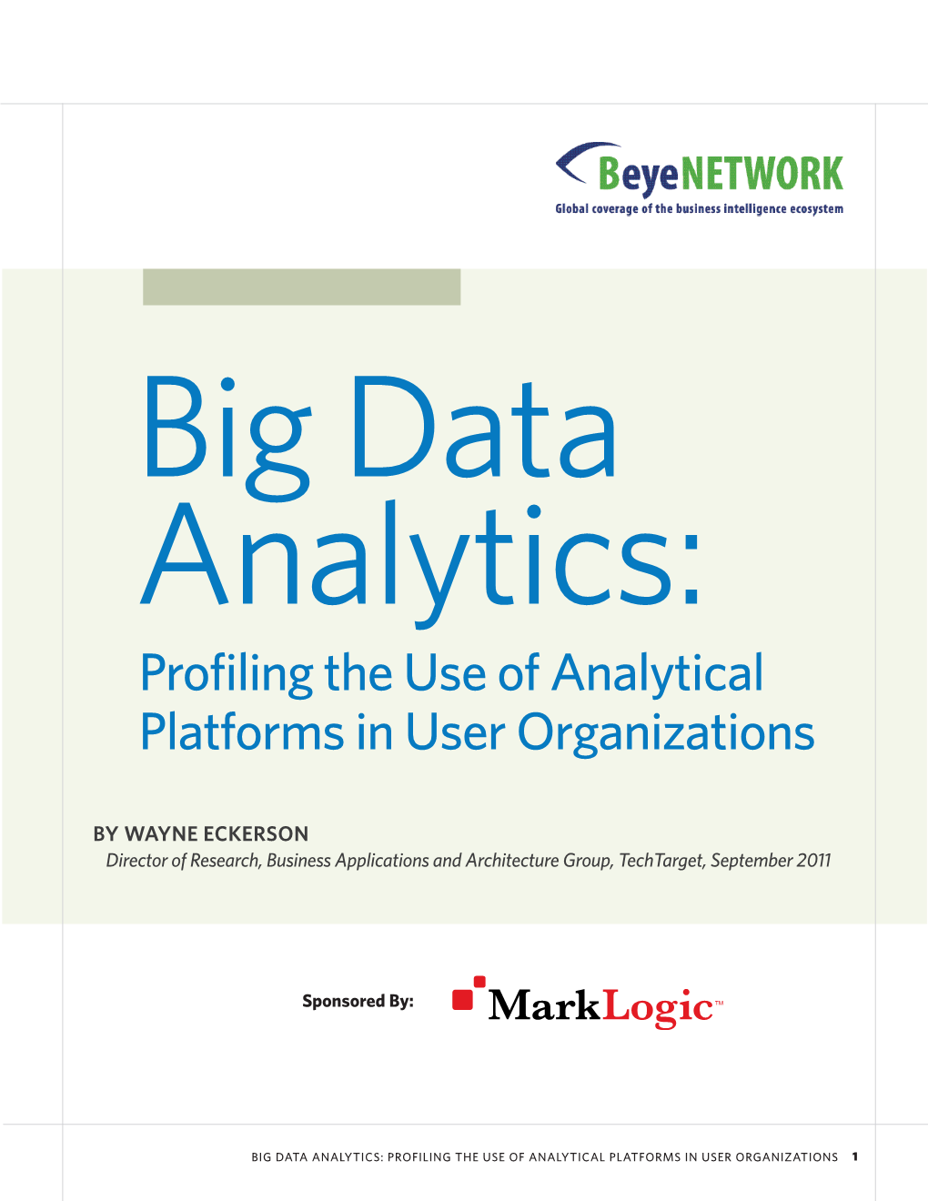 Profiling the Use of Analytical Platforms in User Organizations