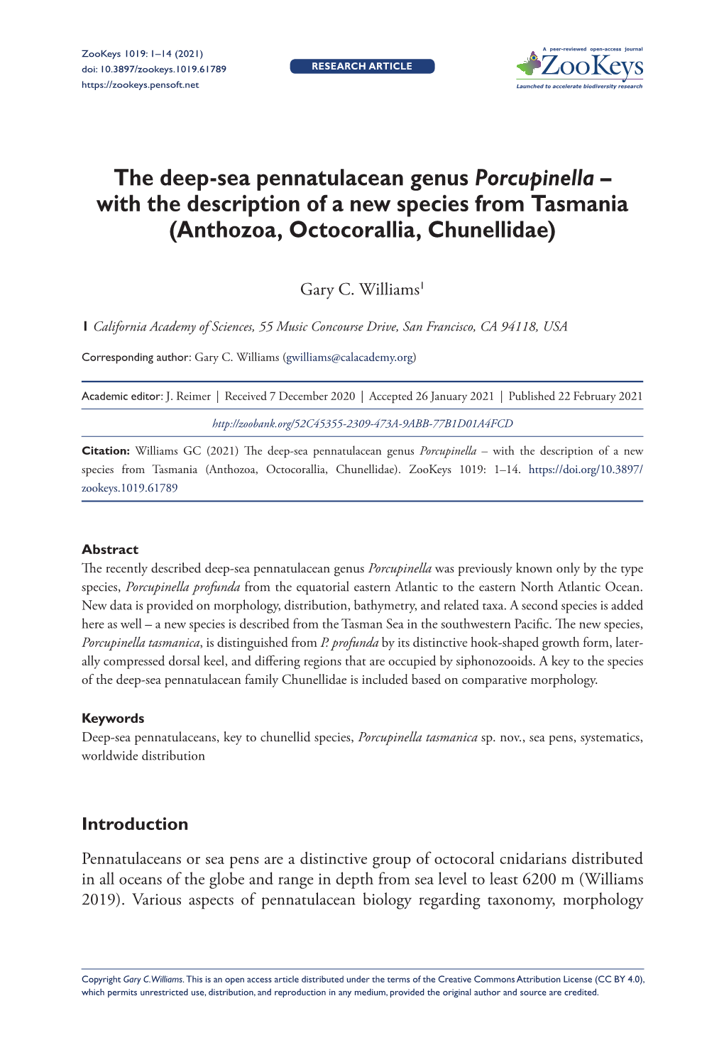 The Deep-Sea Pennatulacean Genus Porcupinella – with the Description of a New Species from Tasmania (Anthozoa, Octocorallia, Chunellidae)