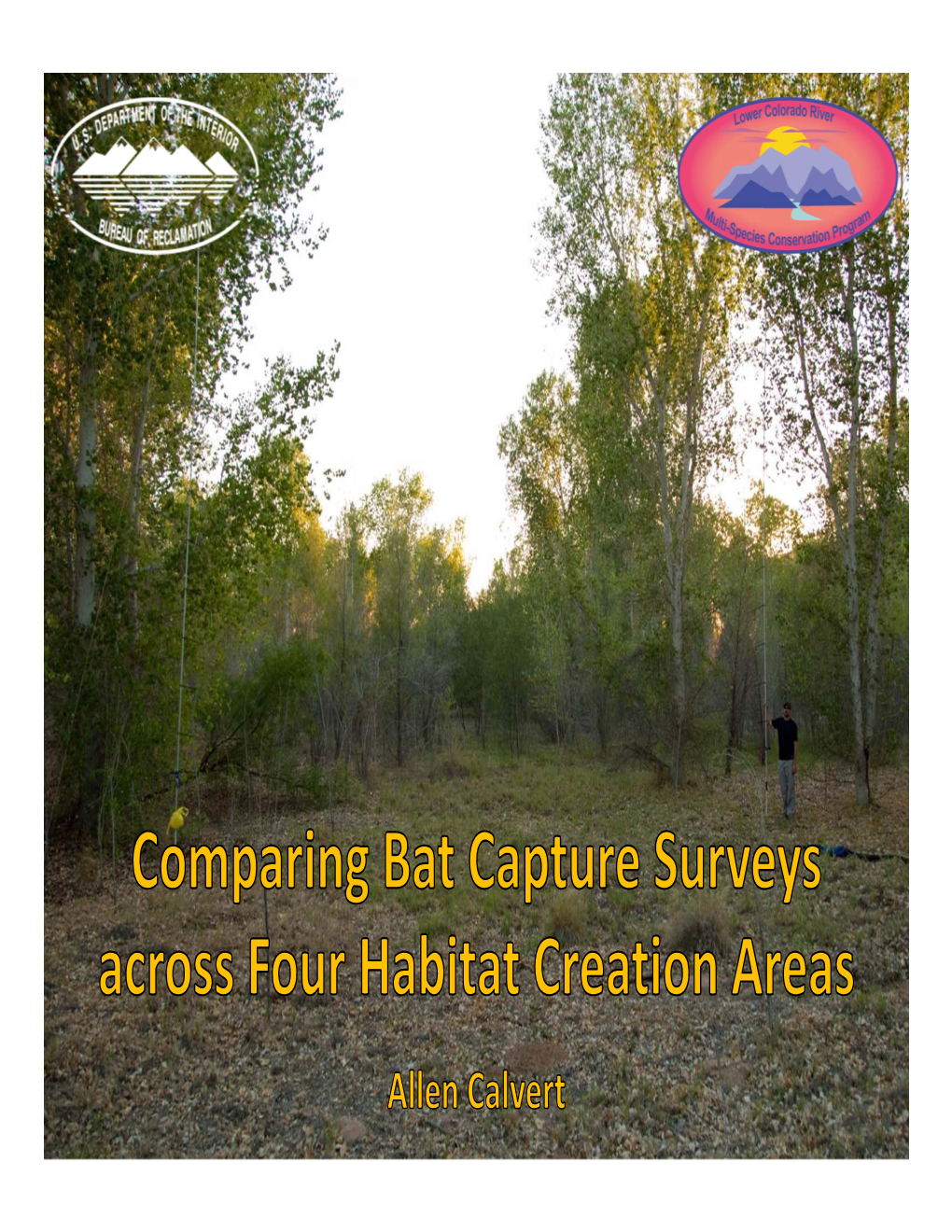 Comparing Bat Capture Surveys Across Four Habitat Creation Areas