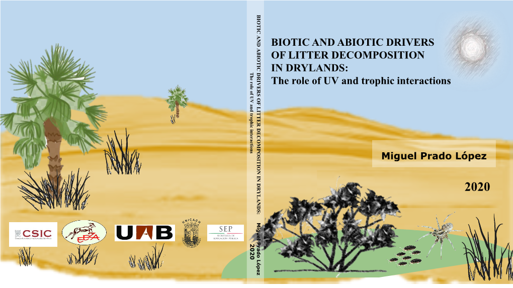 BIOTIC and ABIOTIC DRIVERS of LITTER DECOMPOSITION in DRYLANDS: the Role of UV and Trophic Interactions
