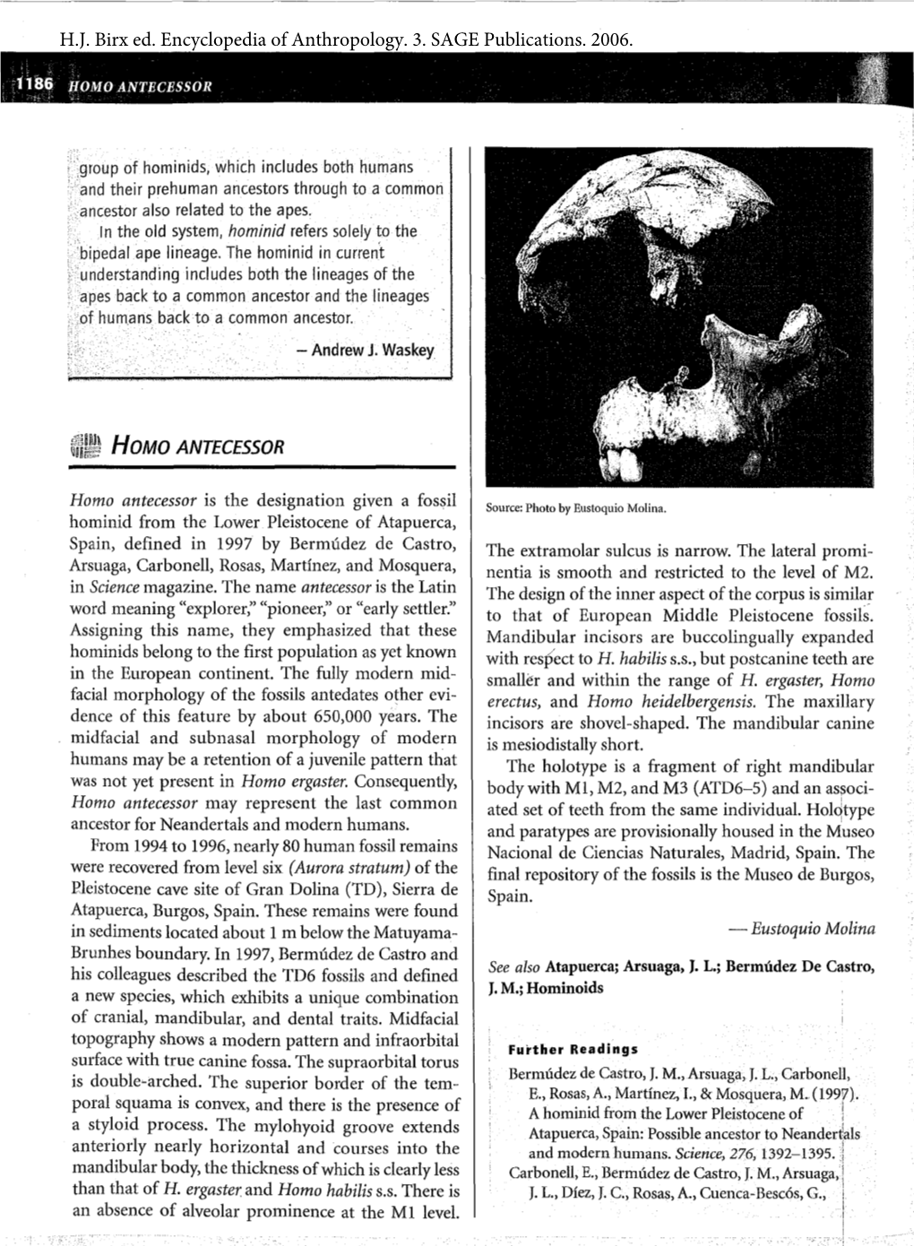 Fo1~!~ HOMO ANTECESSOR H.J. Birx Ed. Encyclopedia of Anthropology. 3. SAGE Publications. 2006