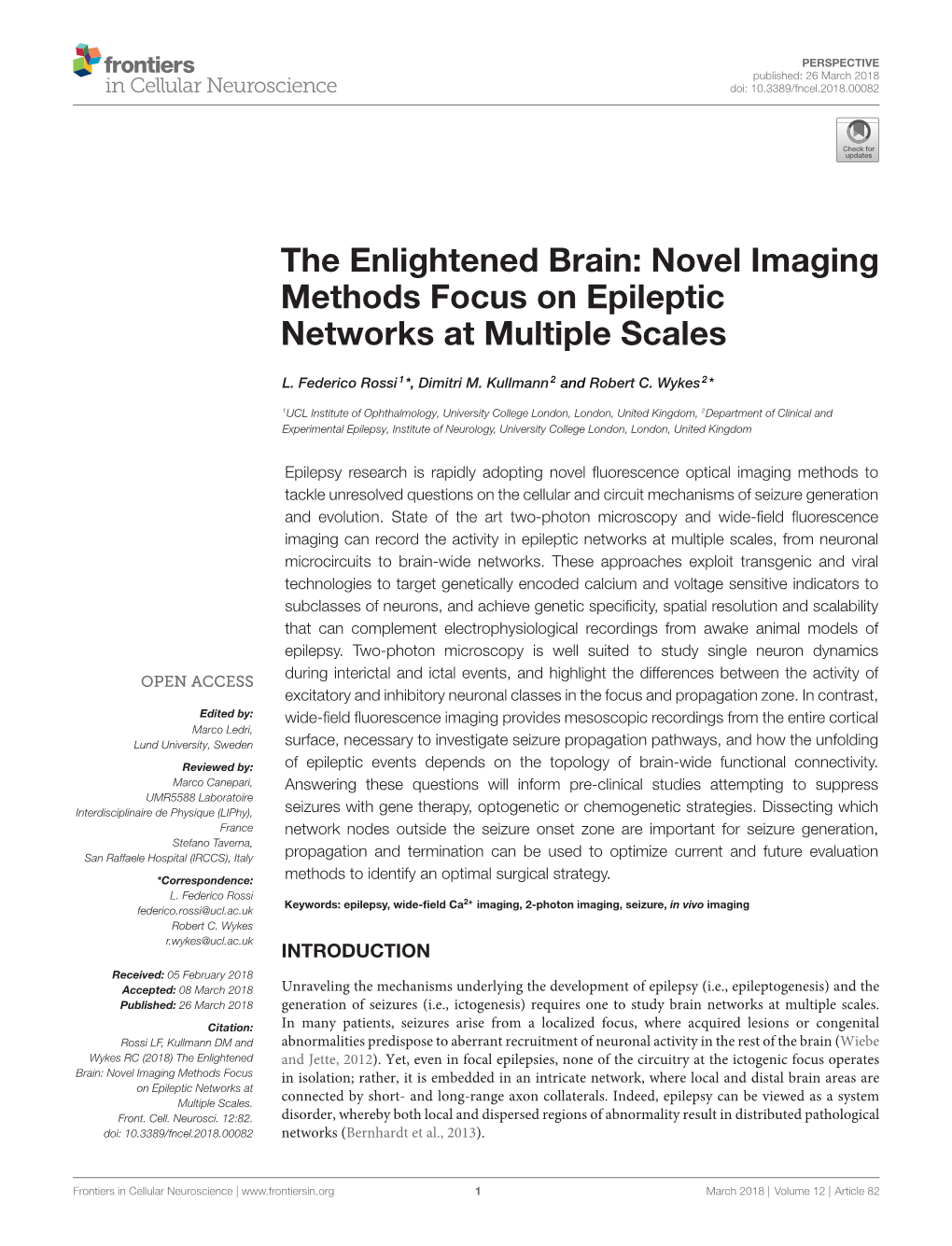 The Enlightened Brain: Novel Imaging Methods Focus on Epileptic Networks at Multiple Scales