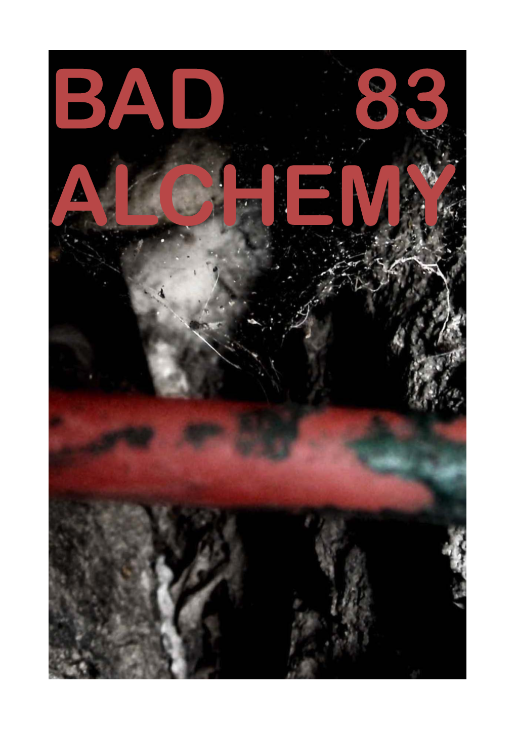 BAD 83 ALCHEMY Die Literatur, So Scheint Mir, Hat Es Mit Dem Verschwundenen Zu Tun, Oder Mit Dem, Was Hätte Sein Können, Aber Nicht Geworden Ist