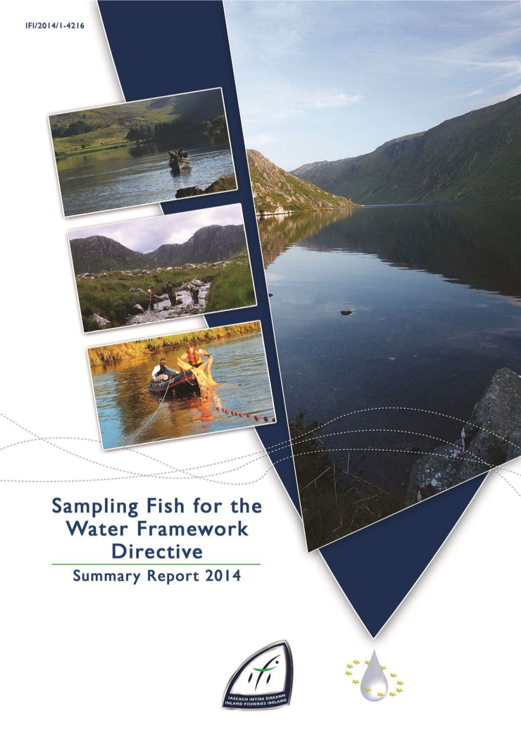 Sampling Fish for the Water Framework Directive - Summary Report 2014