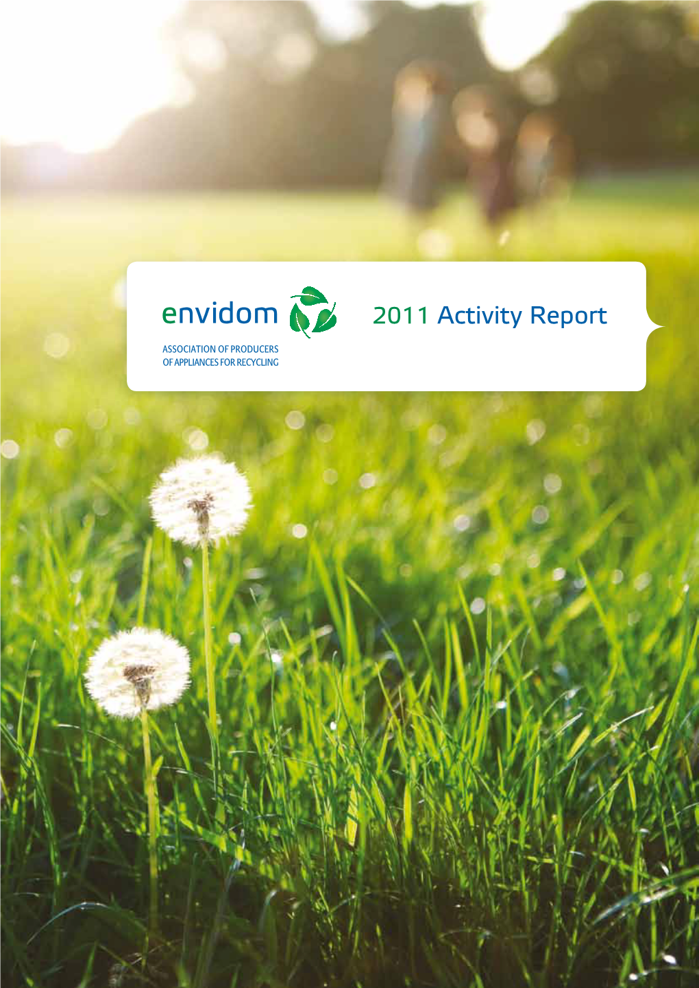 2011 Activity Report Contents