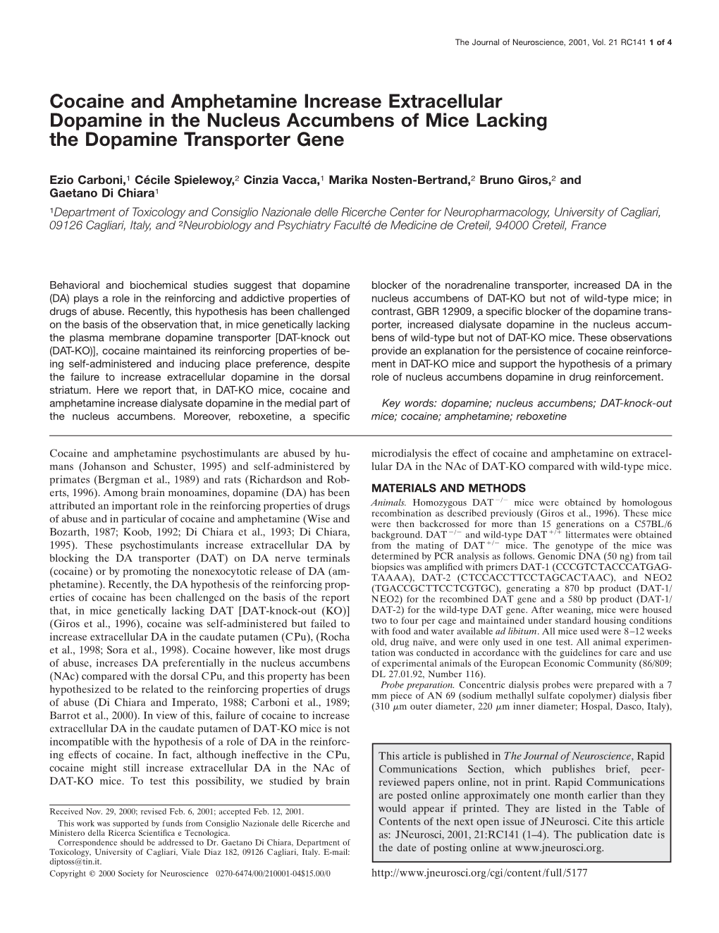 Cocaine and Amphetamine Increase Extracellular Dopamine in the Nucleus Accumbens of Mice Lacking the Dopamine Transporter Gene