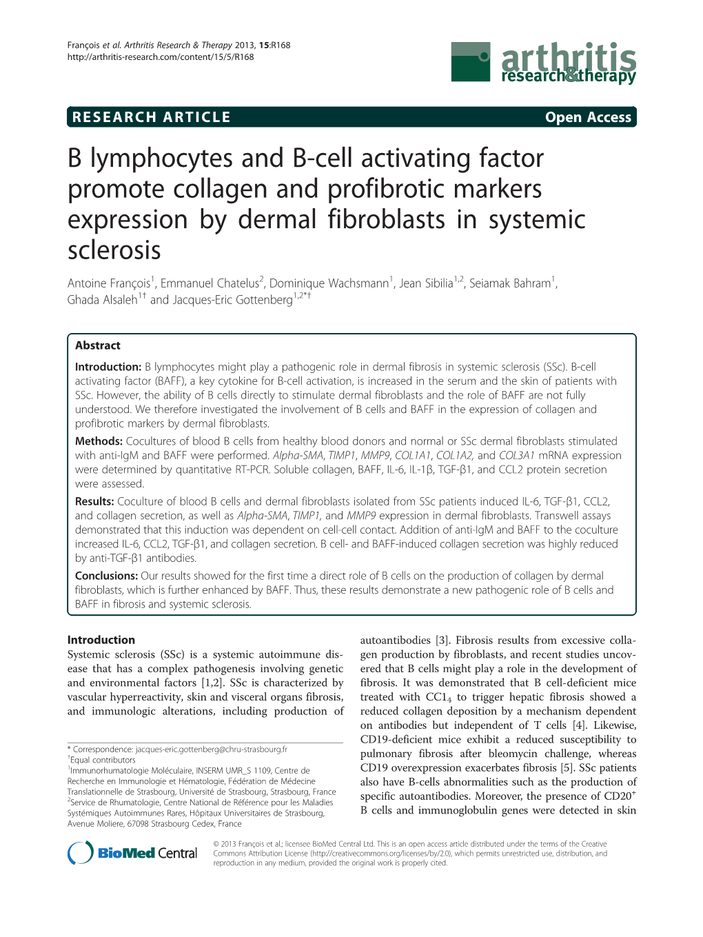 B Lymphocytes and B-Cell Activating Factor Promote
