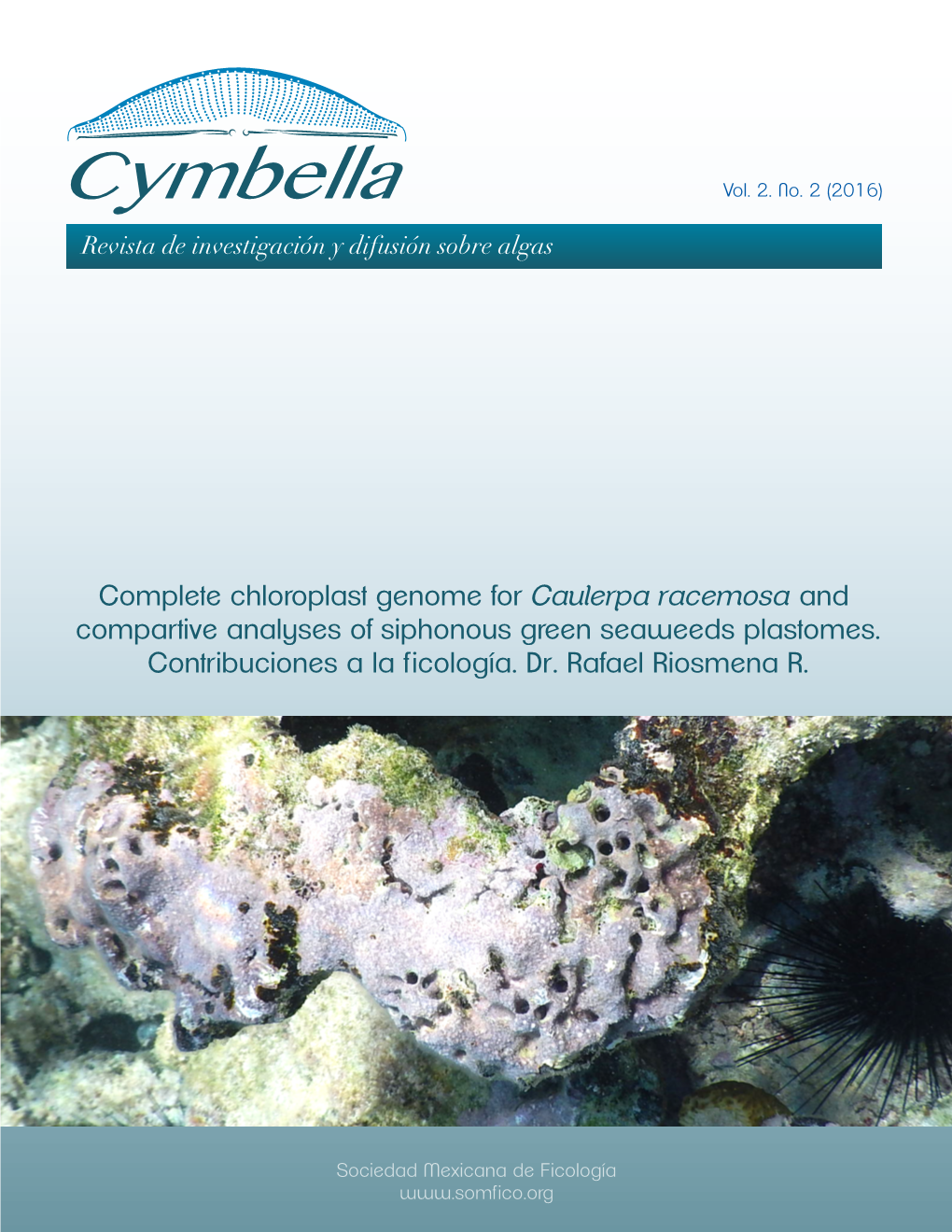 Complete Chloroplast Genome for Caulerpa Racemosa and Compartive