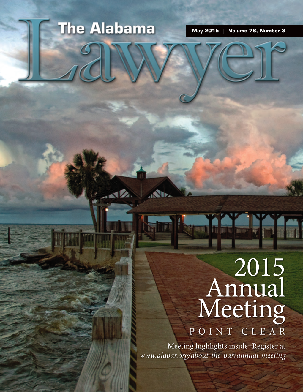 2015 Annual Meeting