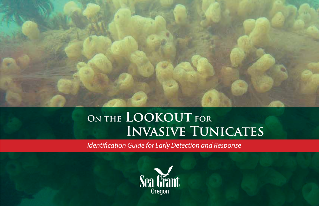 Invasive Tunicates Identification Guide for Early Detection and Response on the Lookout for Invasive Tunicates Identification Guide for Early Detection and Response