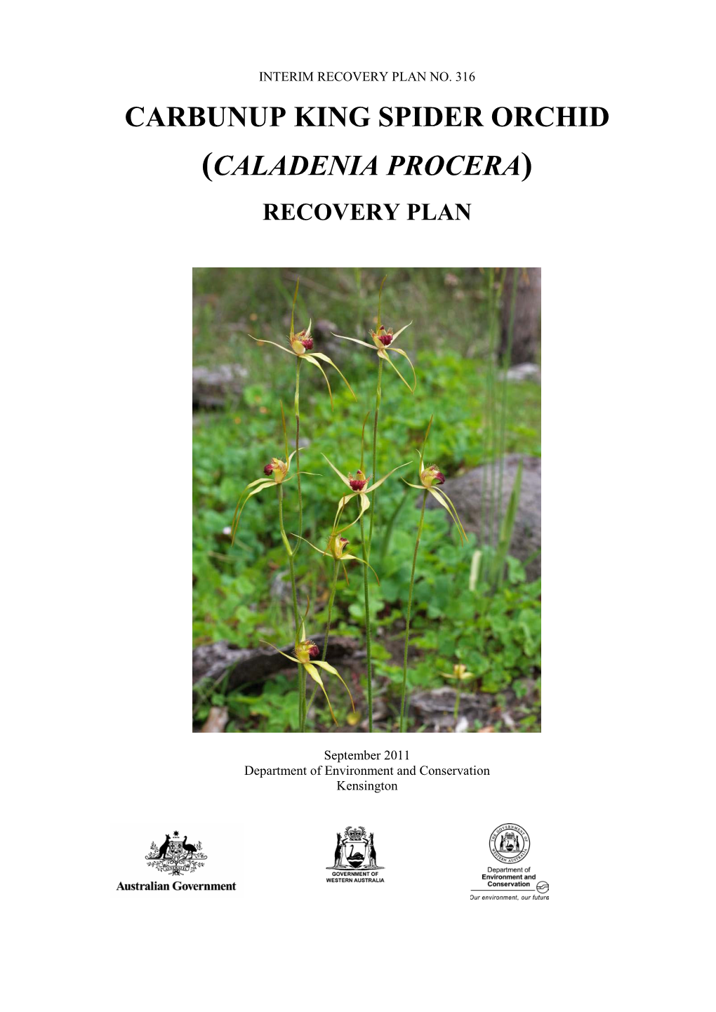 (Caladenia Procera) Recovery Plan