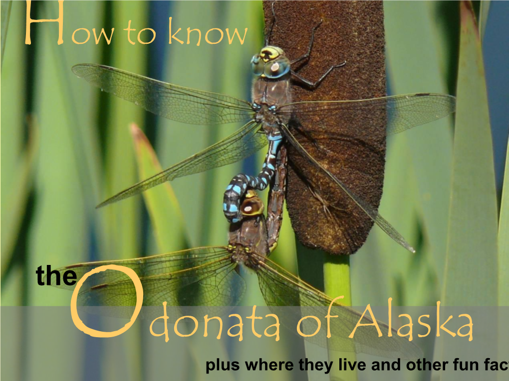 How to Know the Odonata of Alaska