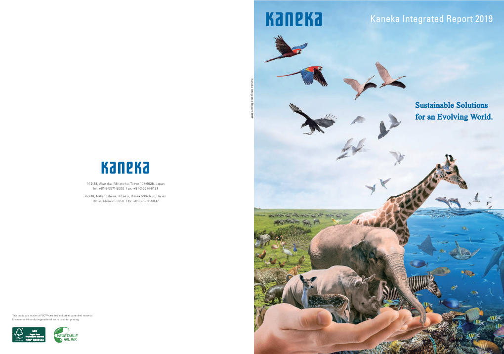 Kaneka Integrated Report 2019 Kaneka Integrated Reportkaneka 2019