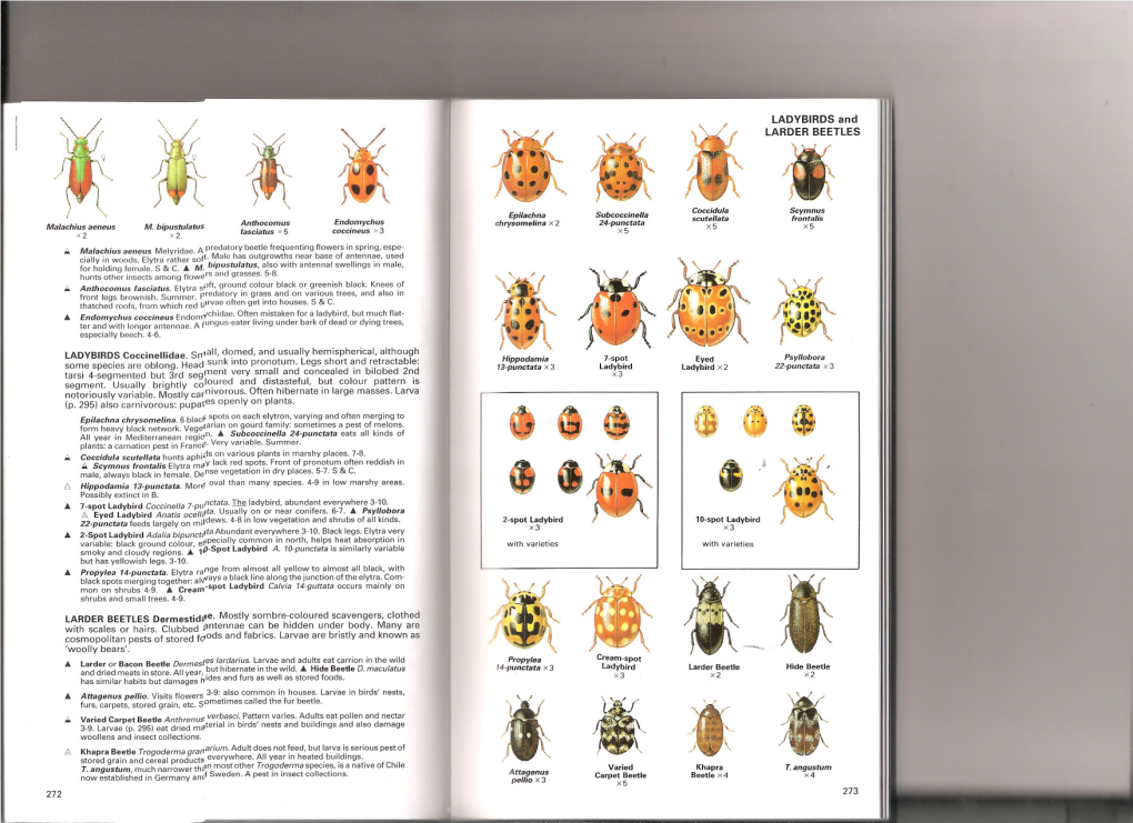 Insects-Chinery-271-281.Pdf