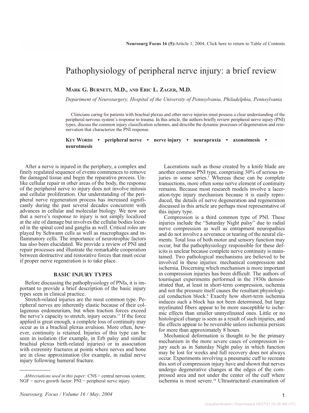 Pathophysiology of Peripheral Nerve Injury: a Brief Review