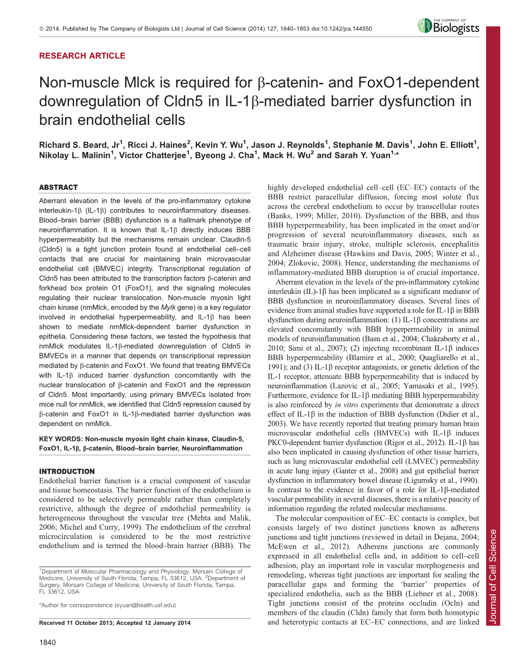 And Foxo1-Dependent Downregulation of Cldn5 in IL-1B-Mediated Barrier Dysfunction In