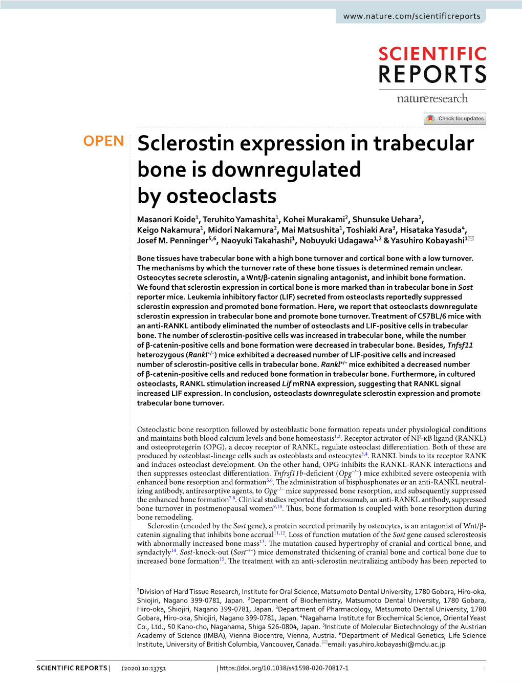 Sclerostin Expression in Trabecular Bone Is Downregulated by Osteoclasts