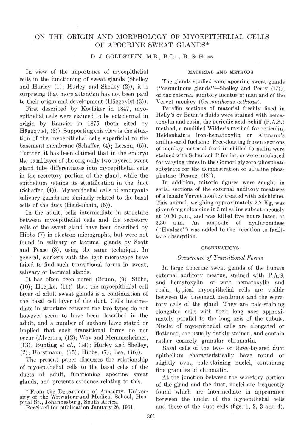 On the Origin and Morphology of Myoepithelial Cells of Apocrine Sweat Glands* D J