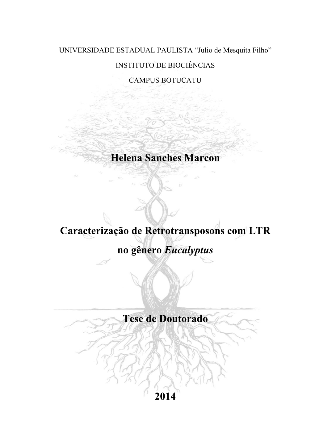 Helena Sanches Marcon Caracterização De