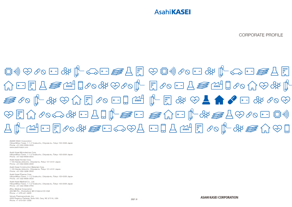 Corporate Profile As of March 31, 2021 Officers As of June 25, 2021