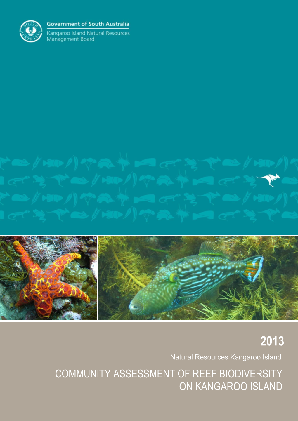 Community Assessment of Reef Biodiversity on Kangaroo Island