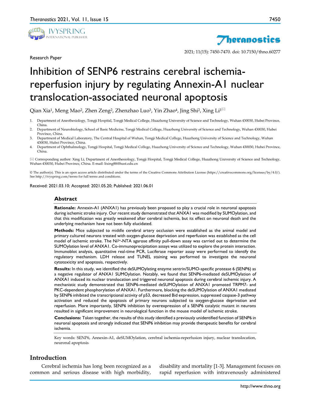 Theranostics Inhibition of SENP6 Restrains Cerebral Ischemia