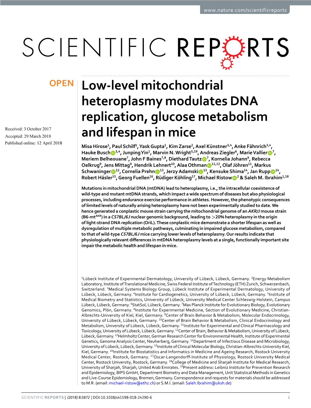 Low-Level Mitochondrial Heteroplasmy Modulates DNA Replication