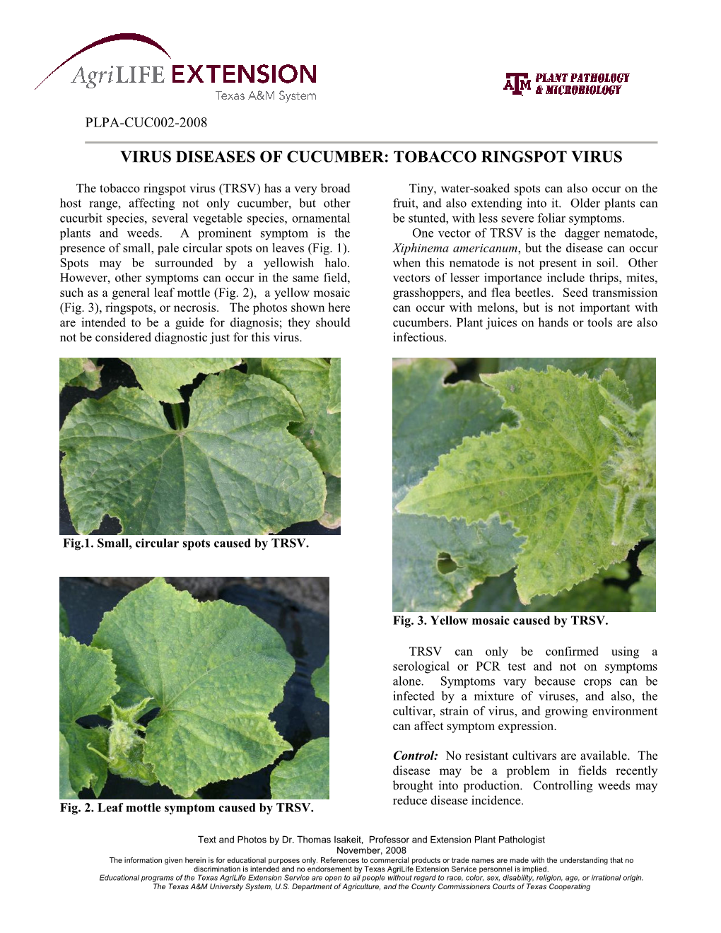 Tobacco Ringspot Virus of Cucumber