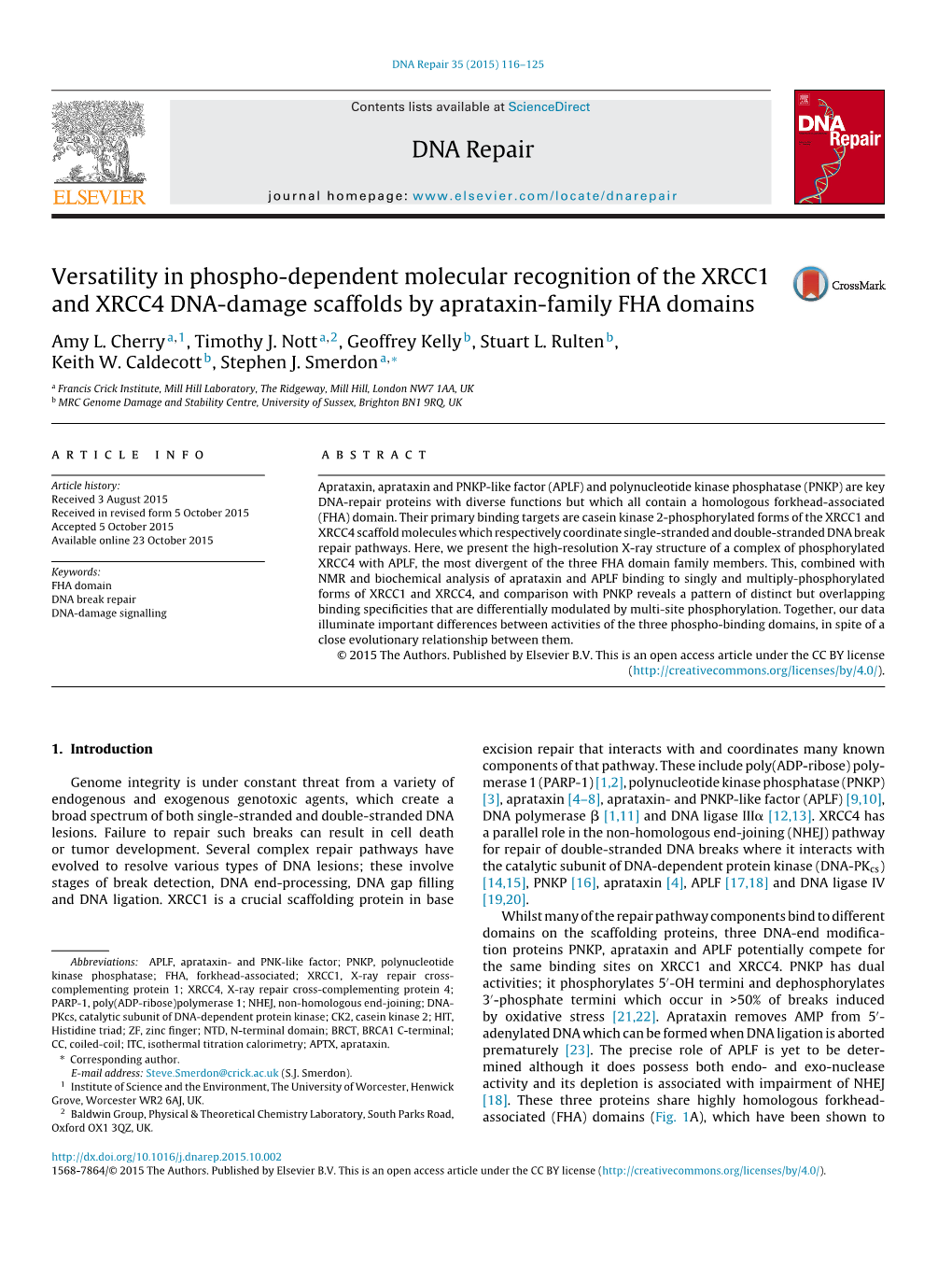 DNA Repair 35 (2015) 116–125