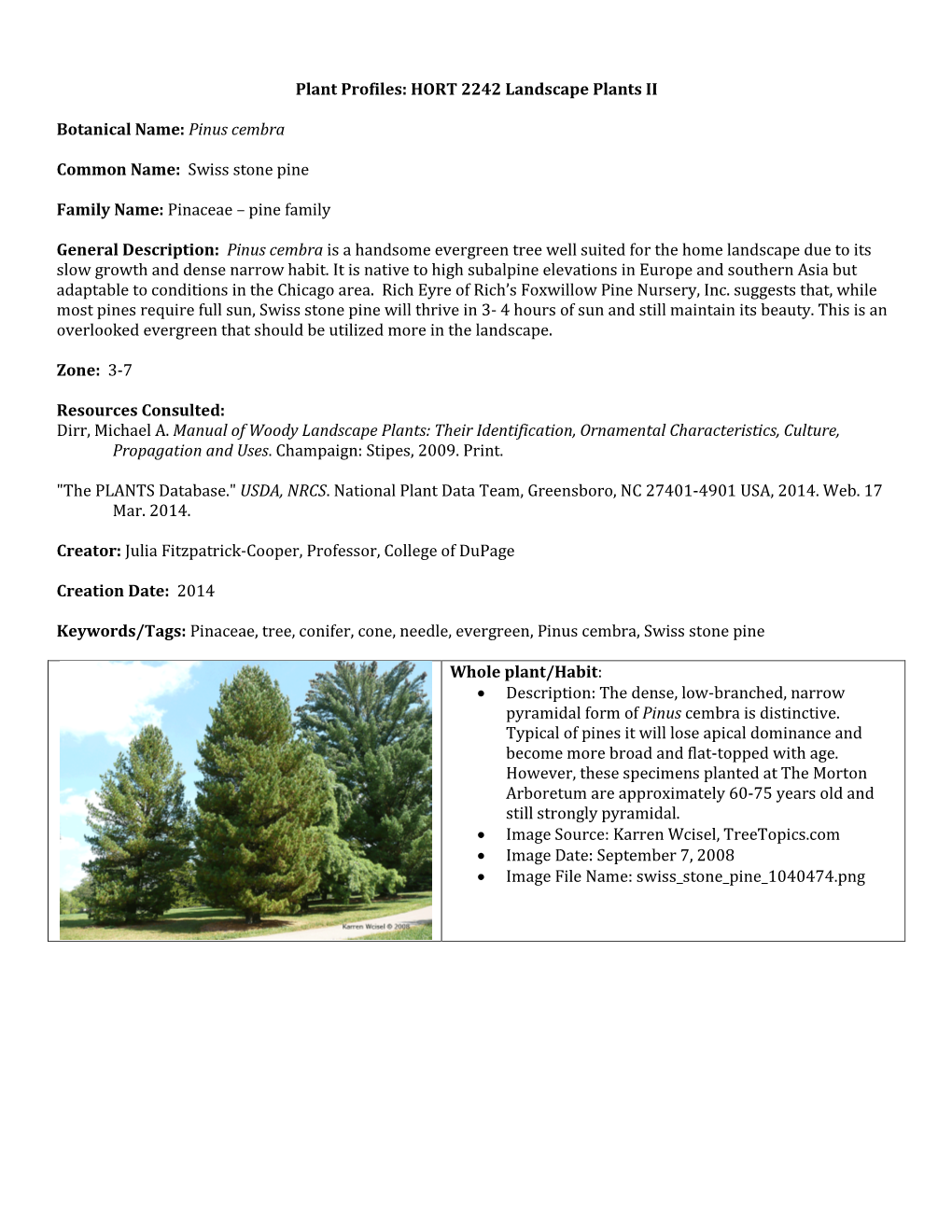 Pinus Cembra Common Name: Swiss Stone Pine Family Name