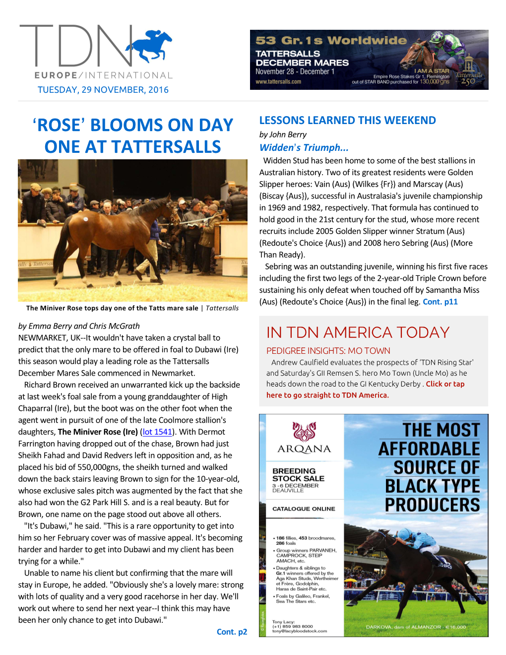 Rose= Blooms on Day One at Tattersalls Cont