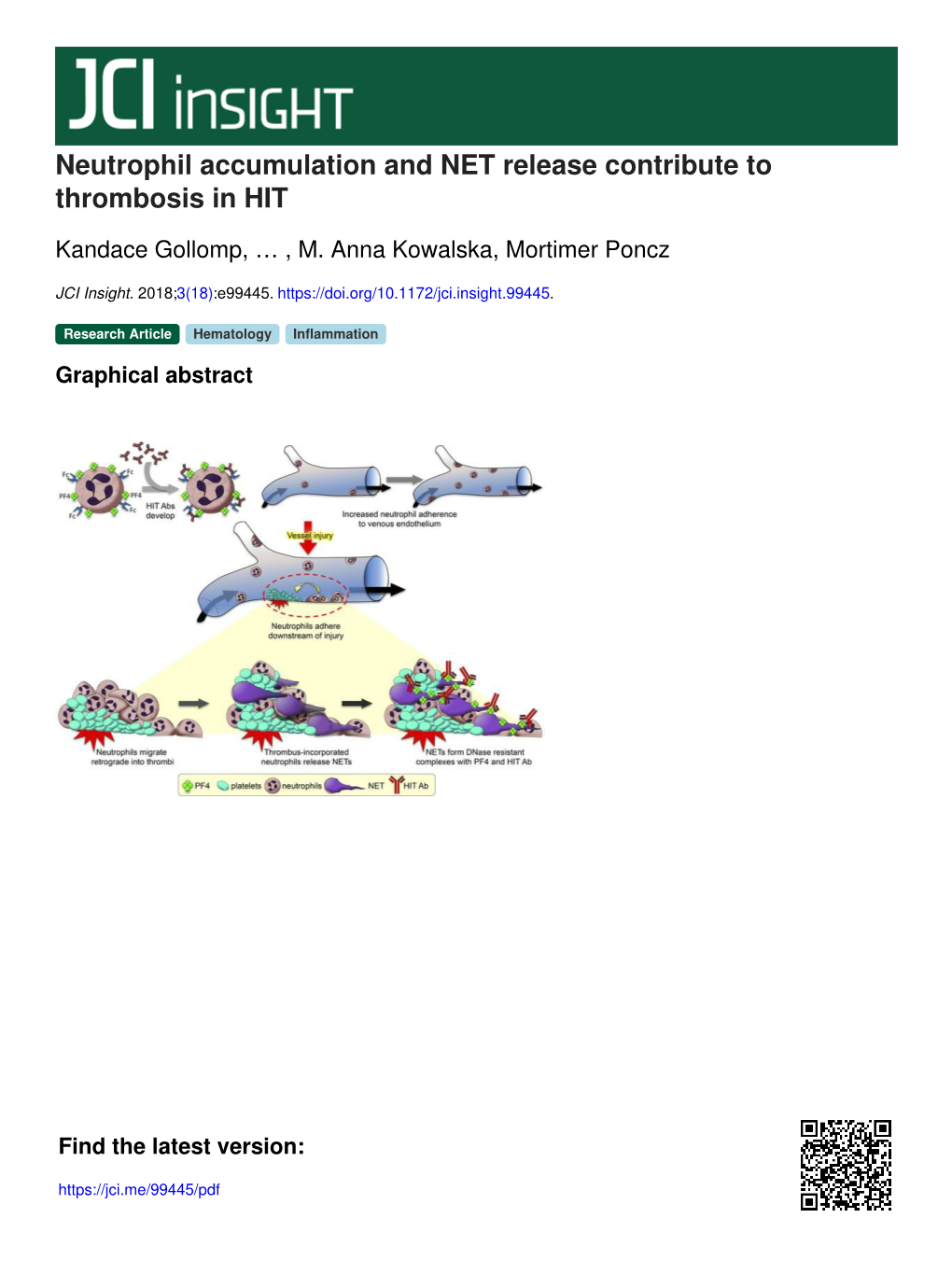 Neutrophil Accumulation and NET Release Contribute to Thrombosis in HIT