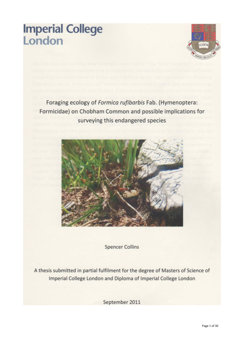 Foraging Ecology of Formica Rufibarbis at Chobham