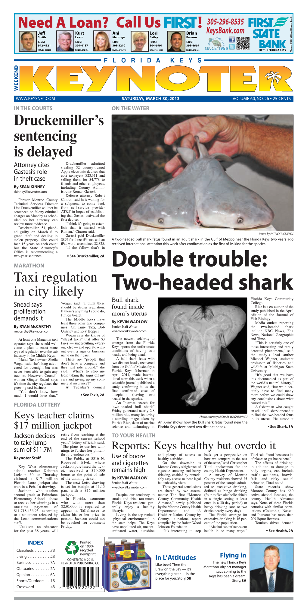 Double Trouble: Two-Headed Shark