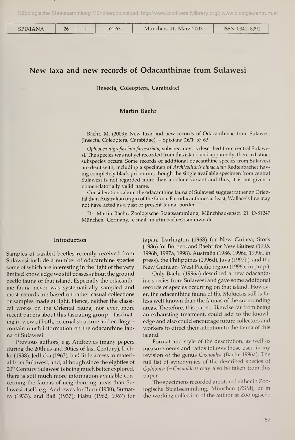 New Taxa and New Records of Odacanthinae from Sulawesi