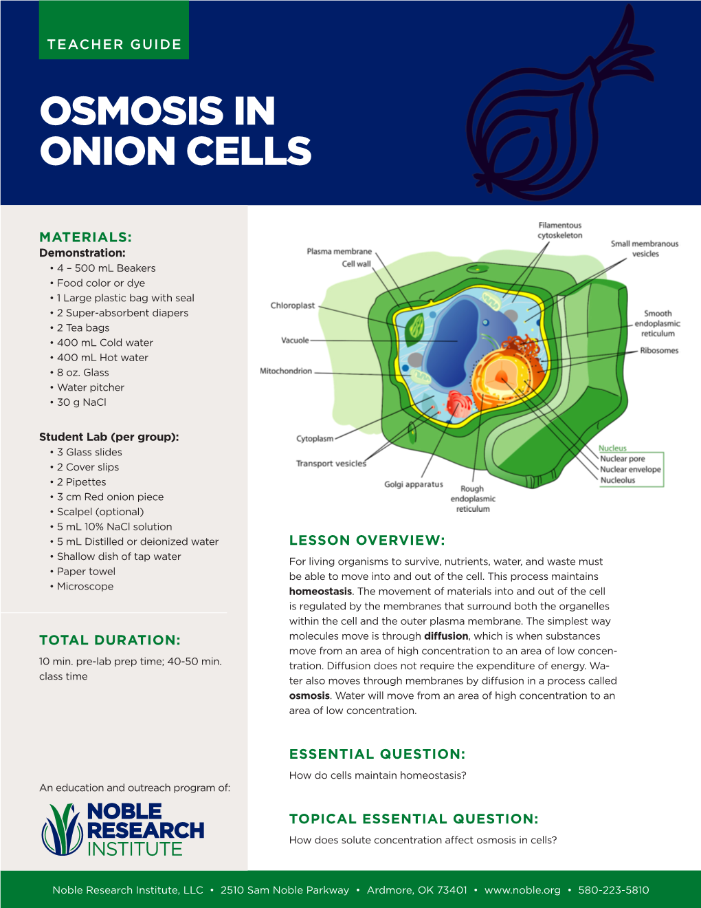 Osmosis in Onion Cells